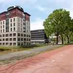 Rent 3 bedroom apartment of 67 m² in Amsterdam