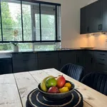 Rent 3 bedroom apartment of 83 m² in rotterdam