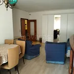 Rent 4 bedroom apartment of 120 m² in Padova