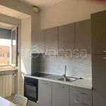 Rent 1 bedroom apartment of 35 m² in Torino