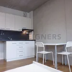 Rent 1 bedroom apartment of 34 m² in Brno