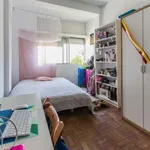 Rent a room in lisbon