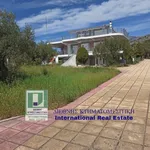 Rent 5 bedroom house of 222 m² in Municipal Unit of Megara