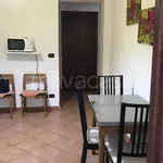 Rent 1 bedroom apartment of 20 m² in Torino