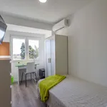 Rent 5 bedroom apartment in Valencia