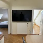 Rent 4 bedroom apartment of 100 m² in München