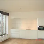 Rent 1 bedroom apartment in Antwerpen