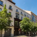 Rent 1 bedroom apartment of 102 m² in Madrid