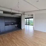 Rent 1 bedroom house of 110 m² in Bremen