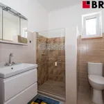 Rent 1 bedroom house of 408 m² in Brno