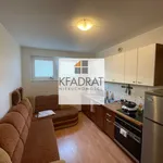 Rent 2 bedroom apartment of 45 m² in Szczecin