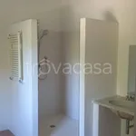 Rent 4 bedroom apartment of 80 m² in Castelfiorentino