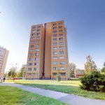 Rent 1 bedroom apartment of 29 m² in Ostrava