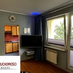 Rent 1 bedroom apartment of 30 m² in Gliwice