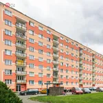 Rent 2 bedroom apartment of 36 m² in Plzeň