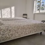 Rent a room in lisbon