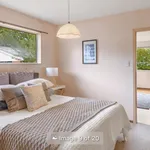 Rent 4 bedroom house in Christchurch