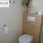 Rent 1 bedroom apartment in Pilsen