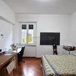 Rent 4 bedroom apartment of 100 m² in Pisa