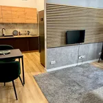 Rent 1 bedroom apartment of 33 m² in Łódź