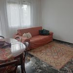 Rent a room of 12 m² in Padua