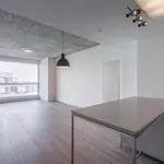  appartement avec 1 chambre(s) en location à Montreal