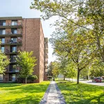 Rent 2 bedroom apartment in Windsor