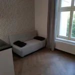 Pronajměte si 1 ložnic/e byt o rozloze 25 m² v Prague