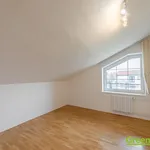 Luxusní rodinný dům se zahradou, 350 m2