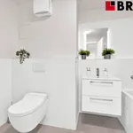 Rent 4 bedroom apartment of 95 m² in Brno