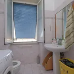 Rent 1 bedroom apartment in Rome