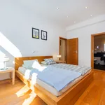 Rent 1 bedroom apartment of 50 m² in Prague