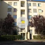 Rent 4 bedroom apartment of 65 m² in ST PRIEST