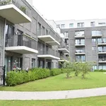 Rent 2 bedroom apartment in Gullegem