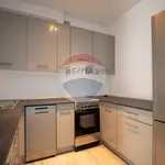 Rent 4 bedroom apartment of 53 m² in Koszalin