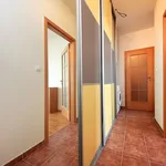 Rent 2 bedroom apartment of 58 m² in Capital City of Prague