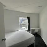 Rent 3 bedroom apartment in Auckland