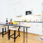 Rent 1 bedroom apartment in Praha 3