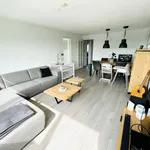 Rent 3 bedroom apartment of 70 m² in Zwijndrecht