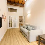 Rent 1 bedroom apartment in Florence