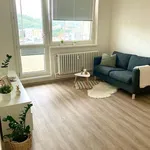 Pronajměte si 2 ložnic/e byt o rozloze 40 m² v Brno-Židenice