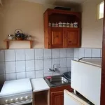 Rent 1 bedroom apartment of 21 m² in Timișoara