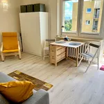 Rent 1 bedroom apartment of 26 m² in Łódź