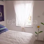 Rent 2 bedroom apartment of 40 m² in Torino