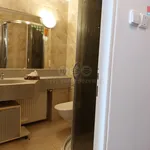 Rent 1 bedroom apartment of 20 m² in Praha