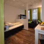 Miete 1 Schlafzimmer wohnung von 29 m² in Frankfurt