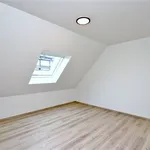 Rent 2 bedroom apartment in HALLE