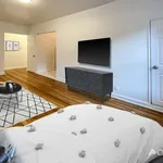 Rent 1 bedroom apartment in New York