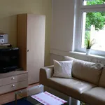 Rent 2 bedroom apartment of 47 m² in Dresden