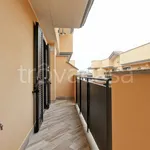 Rent 5 bedroom apartment of 131 m² in Roma